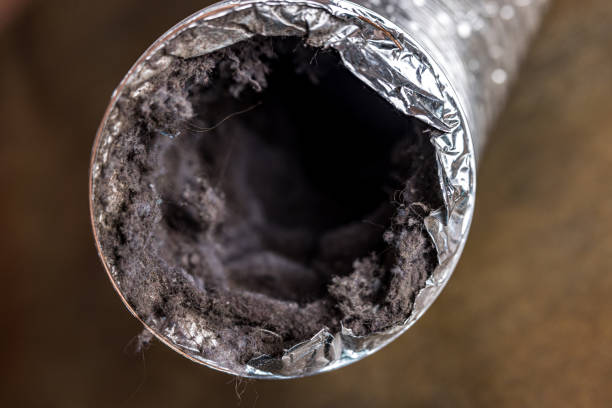 Best HVAC Maintenance and Cleaning  in Petaluma, CA
